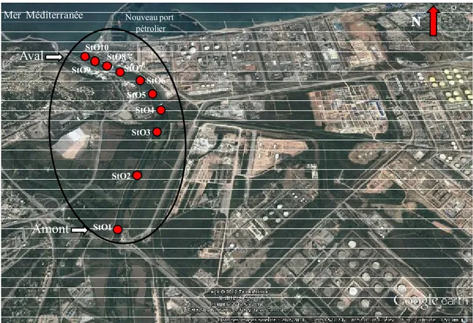 Figure 3.1.: Localisation des sites de prélèvements dans l’oued Saf-Saf