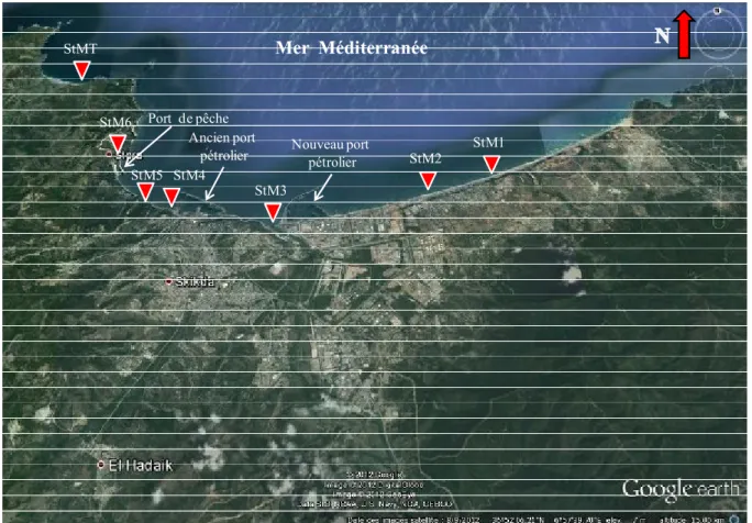 Figure 3.3.: Localisation des stations de prélèvement dans la baie de Skikda (Google Earth modifiée)