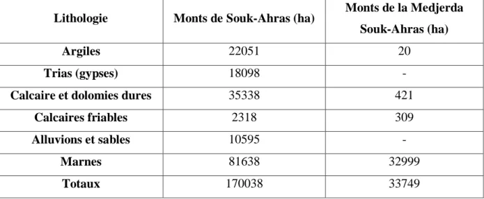Tableau N°02 : La lithologie du Monts de Souk-Ahras 