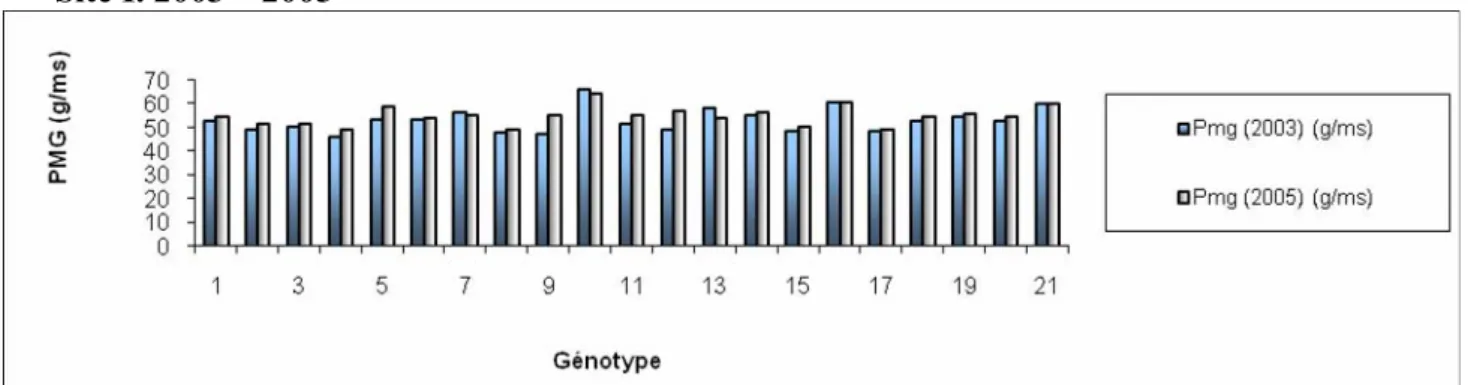 Figure n° 15 : Comparaison des PMG des 21 variétés de blé dur pour le site                                    El Khroub (2003-2004-2005) 