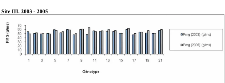 Figure n°17 : Comparaison des PMG des 21 variétés de blé dur pour le site                                    Sidi Bel Abbes  (2003-2004-2005) 