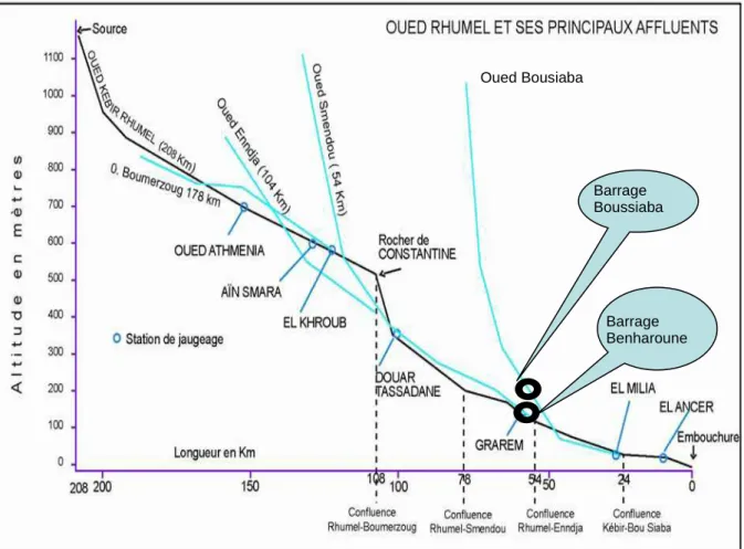 Figure 4. Profil en long de l’Oued El-Kébir-Rhumel (d’après Mebarki, 1982-84, complété)