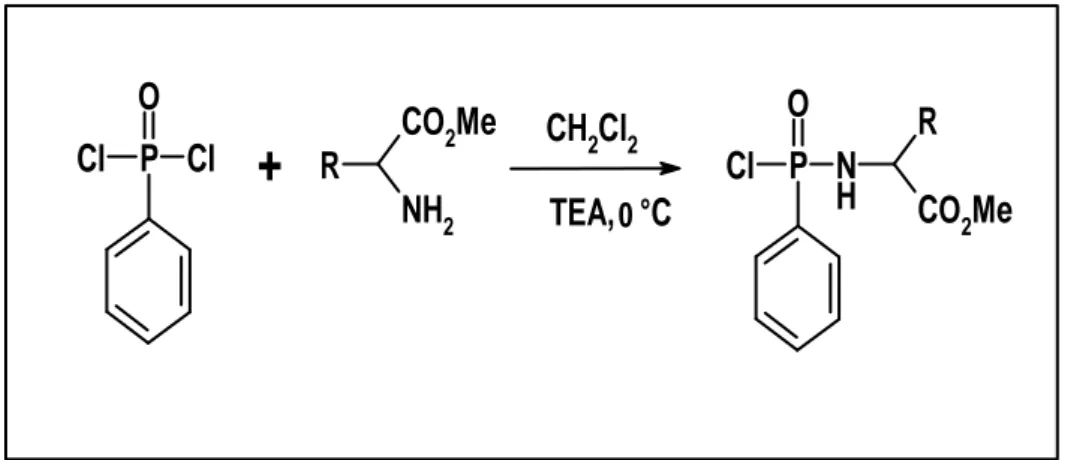 Figure 5. Réactivité de PDCP avec les aminoesters 