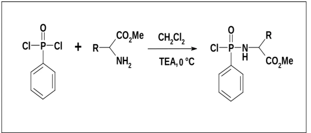 Figure 5. Réactivité de PDCP avec les aminoesters 