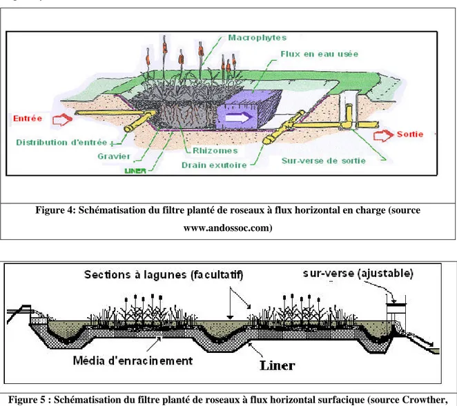 Figure 4: Schématisation du filtre planté de roseaux à flux horizontal en charge (source  www.andossoc.com) 