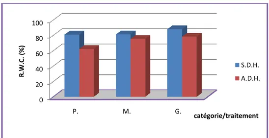 Figure 17 : Pourcentage de la turgescence cellulaire par catégories (P.M.G.) en fonction 