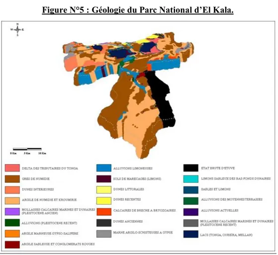 Figure N°5 : Géologie du Parc National d’El Kala. 