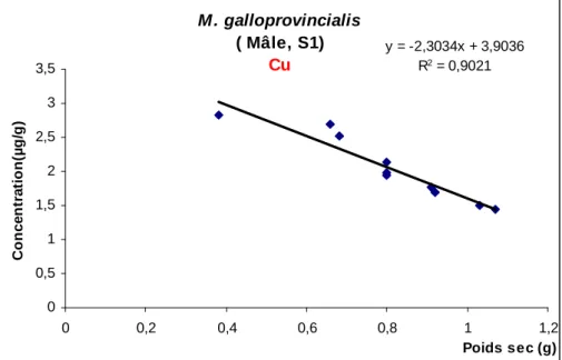 Fig. 49: Corrélation entre la concentration du Cu (µg/g) et le poids sec (g) chez les mâles de  