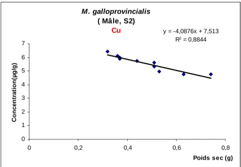 Fig. 51: Corrélation entre la concentration du Cu (µg/g) et le poids sec (g) chez les mâles de  