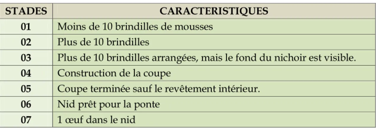 Tableau 2 : Etapes de la construction des nids chez la mésange bleue 