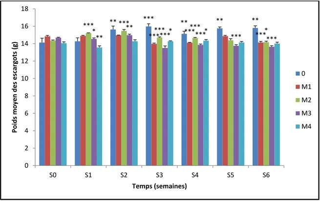 Figure  13 :  Effets  des  mixtures  de  thiaméthoxam  et  de  téfluthrine  sur  le  poids  frais  moyen des adultes de l’escargot Helix aspersa (nourris de feuilles de laitue imbibées de  solution d’insecticide) pendant une période de six semaines