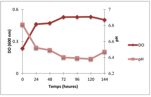 Figure 11. Croissance du consortium microbien en présence du diaphag (0.1 gramme/L). 6.26.46.66.8700.30.6024487296120144pHDO (600 nm)Temps (heures)DOpH
