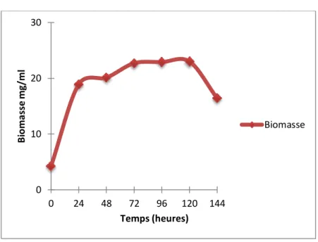 Figure 12. Evolution de la biomasse du consortium microbien en culture batch en présence de 