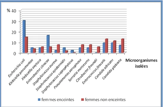 Figure 16: Répartition des microorganismes chez les femmes enceintes ou non. 