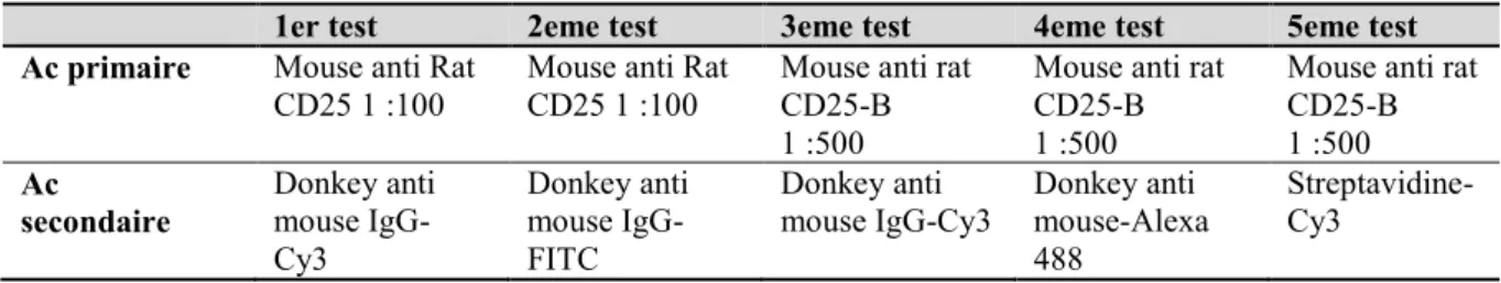 Tableau 1.  Différente combinaisons d’anticorps primaires et secondaires utilisées. Mouse anti rat  CD25 1 :100 : Ac primaire non conjugué produit chez la souris contre les CD25 du rat