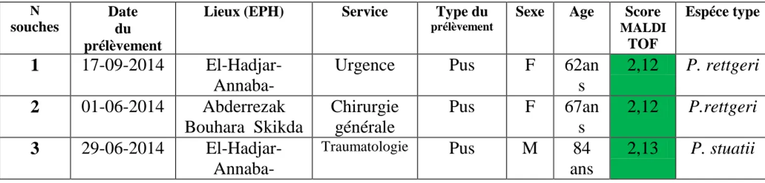 Tableau N°25 : Caractérisation des souches Citrobacter spp. et leur score MALDI-TOF   