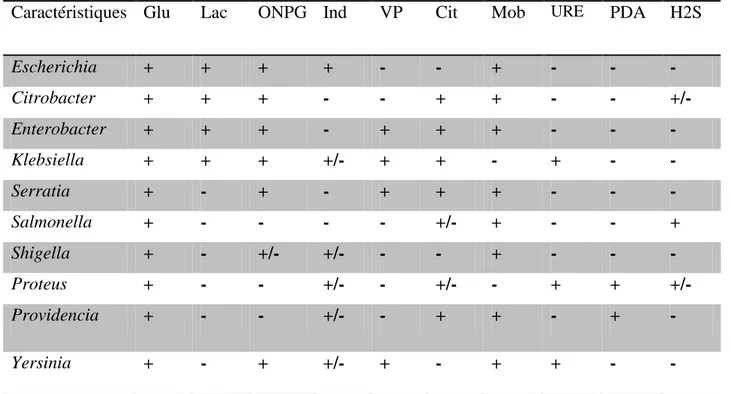 Tableau N° 2 :  Principaux caractères biochimiques des Entérobactéries (Djelouat,  S., 2009)