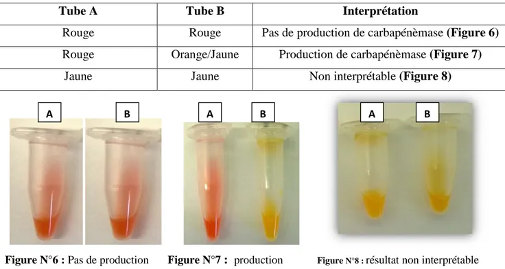 Tableau N°9 :  Interprétation des résultats du Carba NP test modifié. 