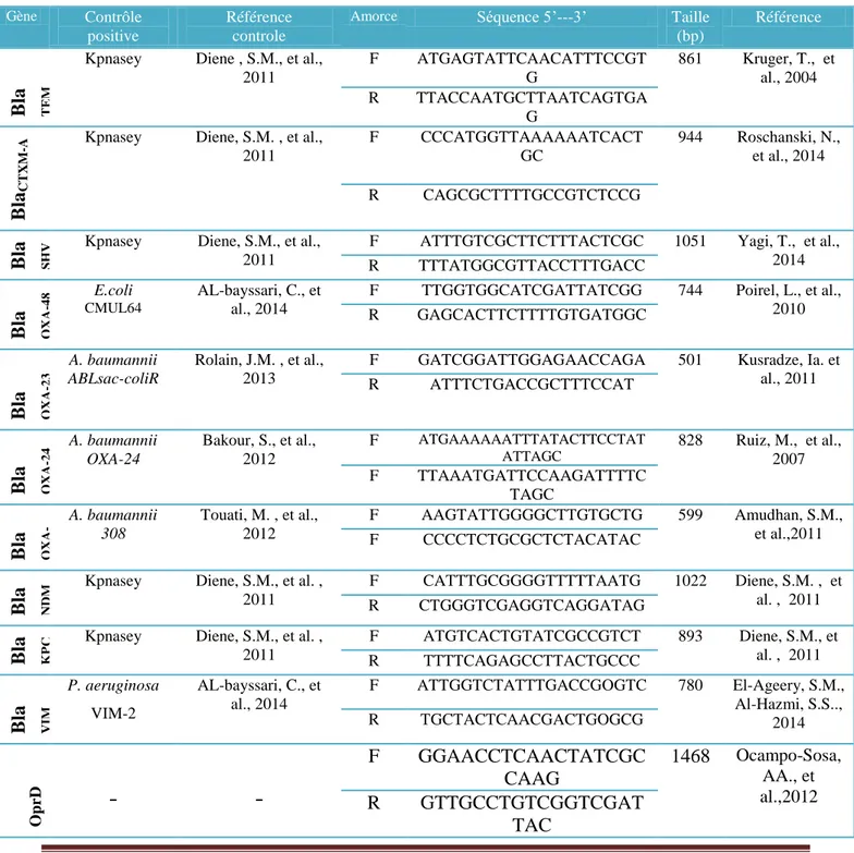 Tableau N°12: Amorces  utilisées pour les PCR standard  Gène Contrôle 