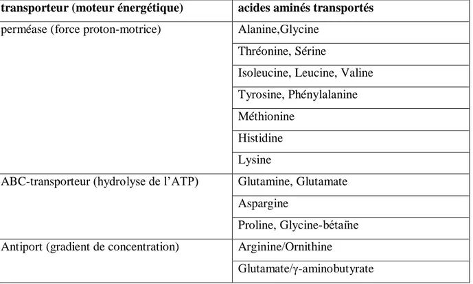 Tableau 5 : Systèmes de transports d’acides aminés identifiés chez les BL  (Atlan et al, 2008)  transporteur (moteur énergétique)  acides aminés transportés 