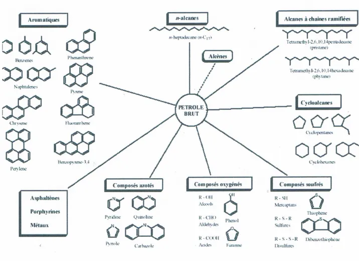 Figure 1. Composés hydrocarbonés  et non  hydrocarbonés  présents  dans le pétrole  brut  (Bianchi et al.,  1988)