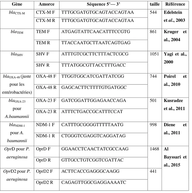 Tableau 9. Amorces utilisées pour les PCR standard 