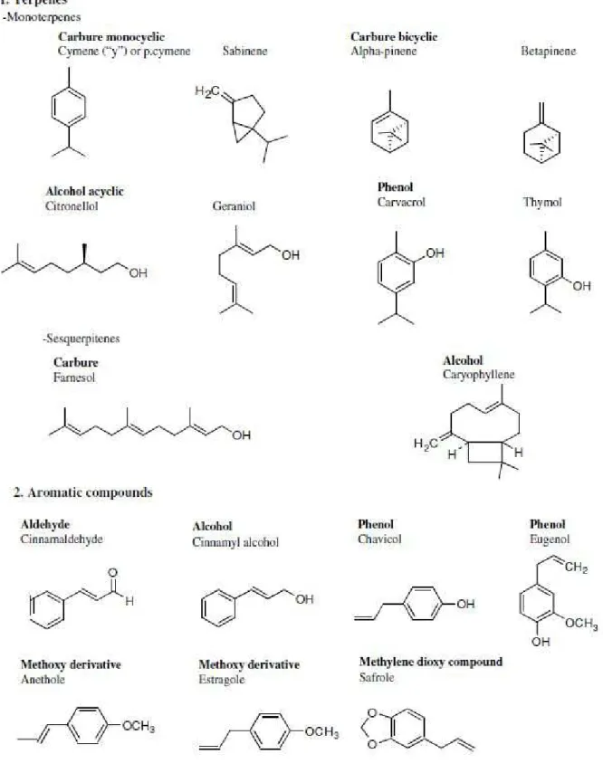 Figure 04 : Structure chimique de quelques composés des huiles essentielles (Bakkali et al., 