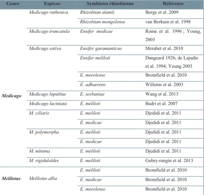 Tableau  2 :  Les  espèces  rhizobiennes  symbiotiques  des  genres  Medicago  et  Melilotus  (Willems 2006; Peix et al