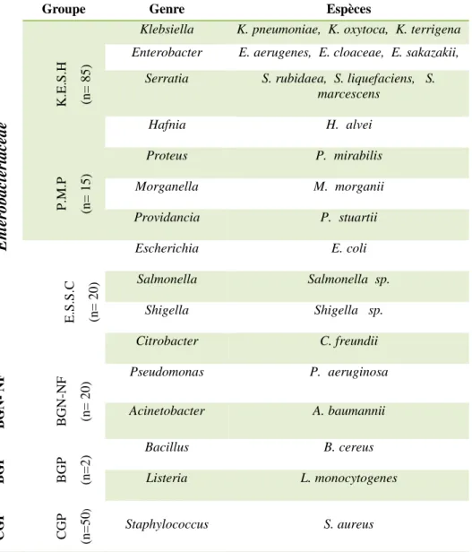 Tableau 16.  Répartition des souches bactériennes selon l’espèce.