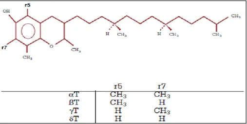 Figure 9 : Structure de la vitamine E (Pincemail et al, 1998). 