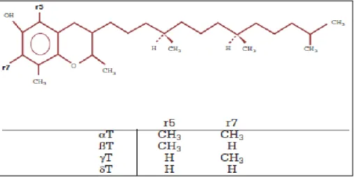 Figure 9 : Structure de la vitamine E (Pincemail et al, 1998). 