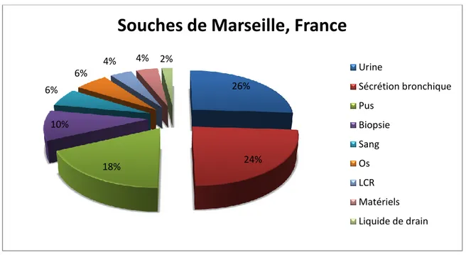 Figure 04 : Distribution des souches isolées de Marseille selon le type de prélèvement