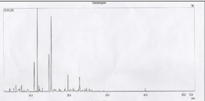 Figure 11: Profil chromatographique de l’huile essentielle de Calamintha nepeta de la zone