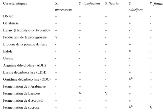 Tableau 1: Caractères biochimiques et culturaux  d’identification des espèces du genre 