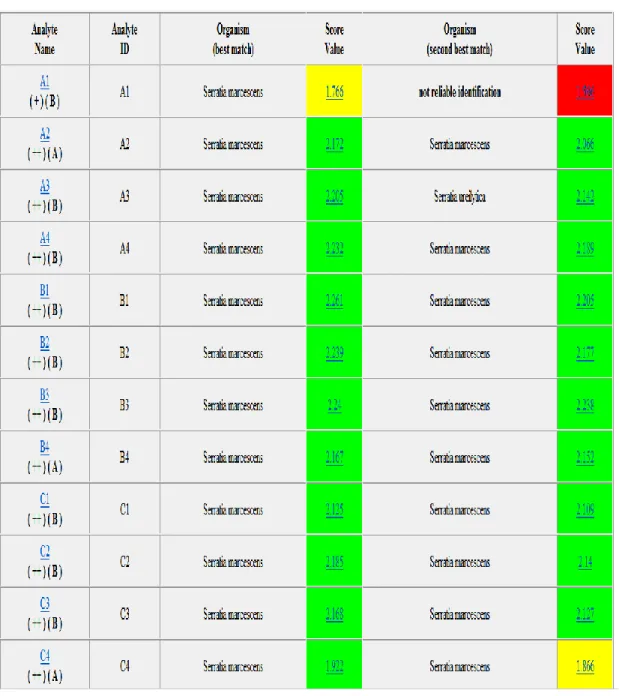 Figure  7: Exemple des scores d’identification bactérienne des souches de S. marcescens  obtenue par le MALDI-TOF