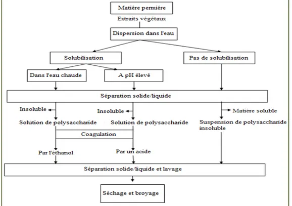 Figure III. 1: Schéma général de l'extraction des glycanes [76].