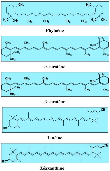 Figure 4 : Structure des différentes classes de caroténoïdes (Rao et Rao, 2007)  I.4.2.2.2