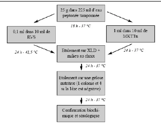 Figure  1 :  Détection  de  Salmonella  spp.  dans  les  aliments  selon  la  méthode  normalisée  ISO  6579 :2002- :2002-Mode  opératoire  (Korsak,  2004)  (RVS,  MKTTn,  XLD  désignent  des  milieux  de  culture  de  composition  spécifique)