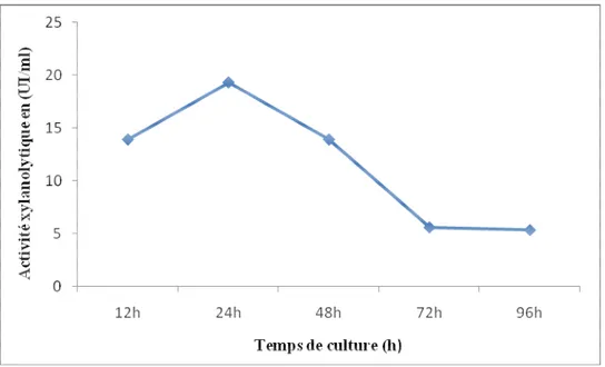 Figure 10: Temps optimal de culture sur la production de xylanases  chez la Cpt29.  L’étude de  cinétique montre que la souche Cpt 29 présente un maximum d’activité au  bout  de  24h  d’incubation  avec  une  activité  de  20UI/ml