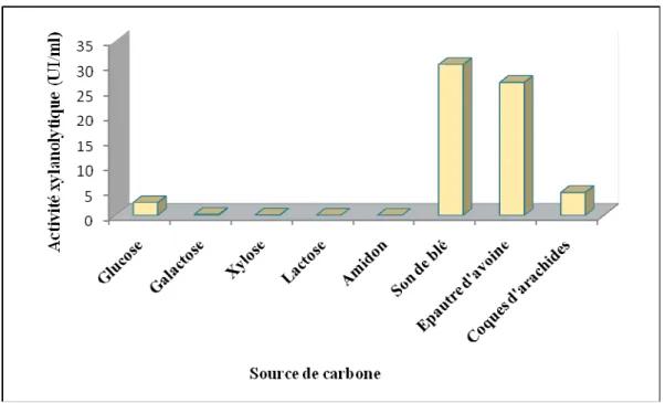 Figure 13: L’effet de différentes sources de carbone sur la production de xylanase chez  la Cpt29 