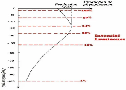 Figure 2: Variation de la production du phytoplancton en fonction de l’intensité lumineuse (Gayral, 1975).