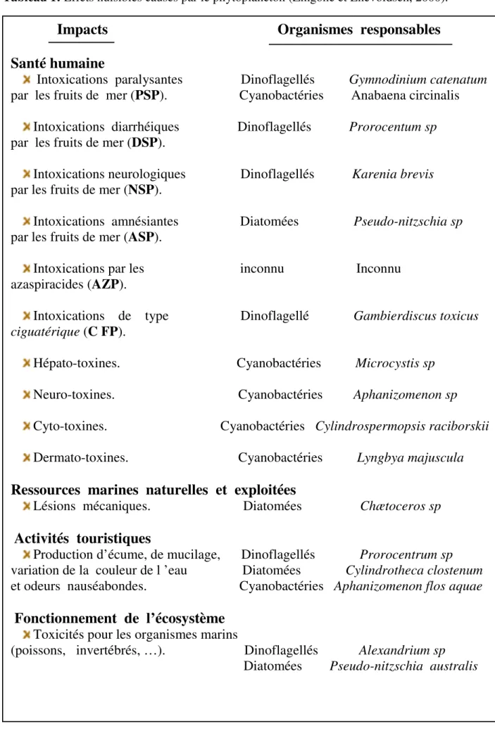 Tableau 1: Effets nuisibles causés par le phytoplancton (Zingone et Enevoldsen, 2000).