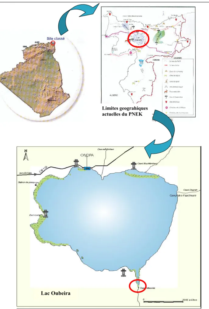 Fig. 1.1. :  carte géographique représentant la localisation du site d’étude [PNEK]. 