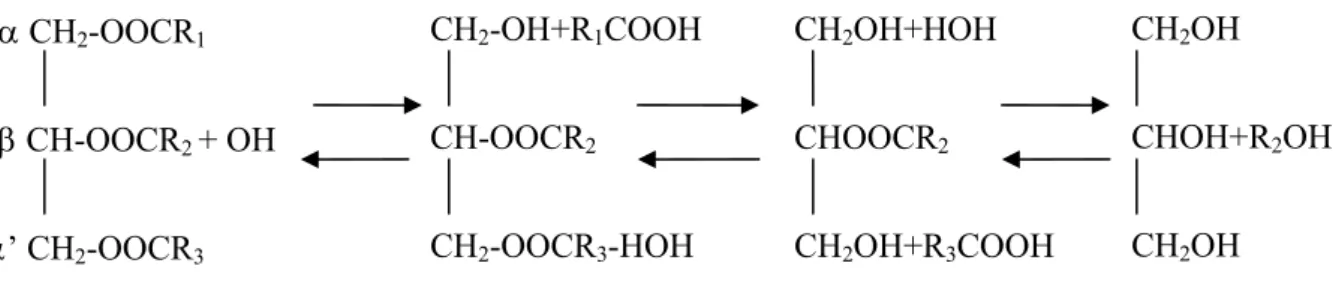 Figure .3.     Réaction d’hydrolyse catalysée par la lipase. 