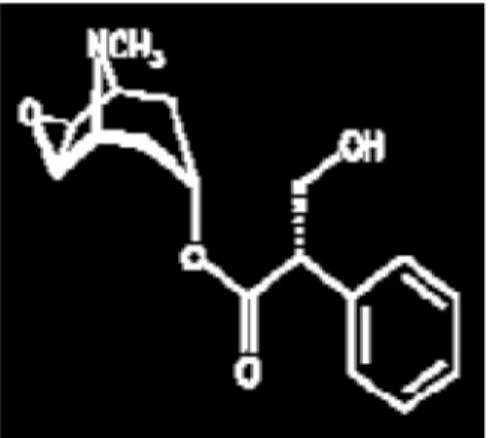 Figure 04 : Structure chimique du scopolamine (Steenkamp , 2004). 