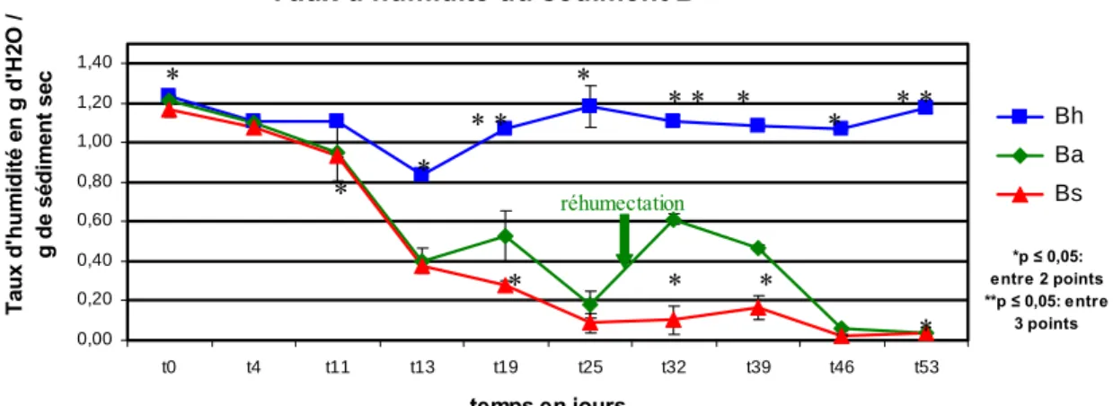 Fig. 4. Taux d’humidité dans le sédiment 