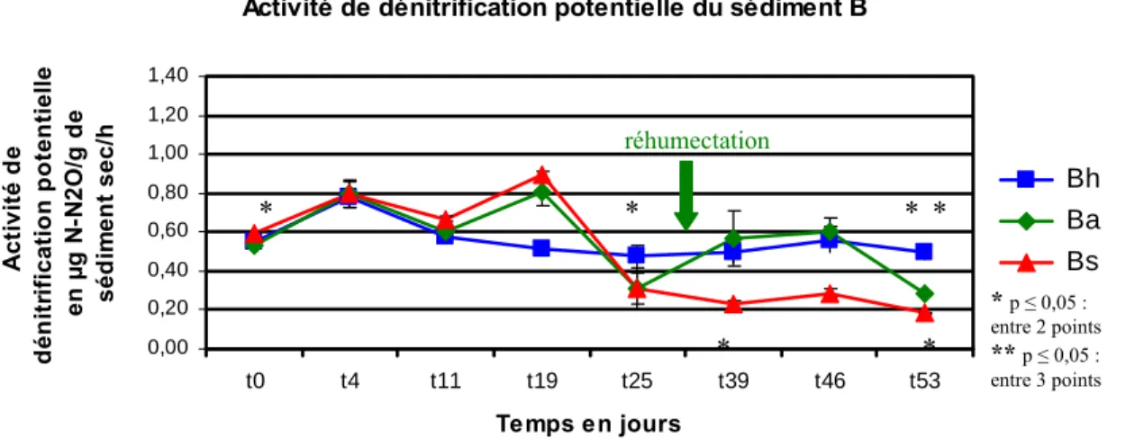 Fig. 8. Evolution de l’activité de dénitrification potentielle du sédiment 