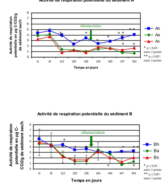 Fig. 9. Evolution de l’activité de respiration potentielle du sédiment 