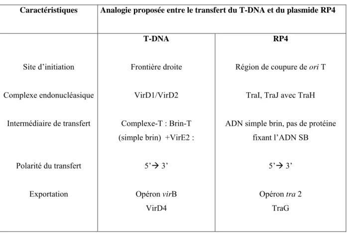 Tableau 4 : Comparaison des similitudes entre le transfert du T-DNA et le transfert conjugatif du 