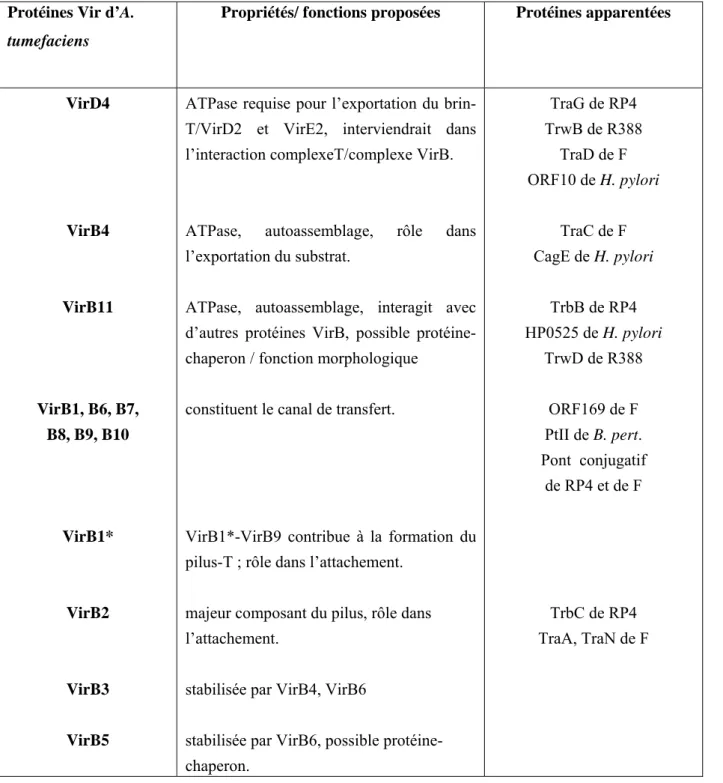 Tableau 5 : Système de sécrétion de type IV d’A. tumefaciens  (opéron virB et gène virD4) et 